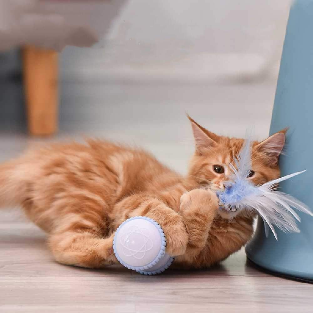 Jouets Lumineux LED à Rotation Automatique à 360 Degrés, Mouvements Automatiques Et Irréguliers pour Chatons/Chats, Chargement USB Amélioré A