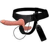 HARNESS ATTRACTION