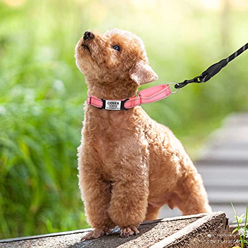 TagME 2er Pack Hundemarke/Hundemarke mit Gravur für Hunde und Katzen für Kleine und Mittelgroße Hunderassen, Personalisierbar, Schwarz, S