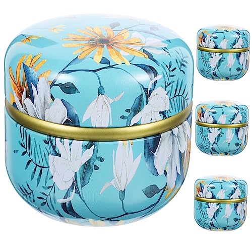 LIGIGWASH 4 Piezas Latas de Hierro Mini Selladas para Almacenamiento Envases Vintage para Té y Cocina Diseño Portátil y Duradero