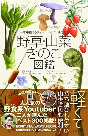Amazon.co.jp: 僕は君を太らせたい! (4) (ビッグコミックス) : 茸本 朗
