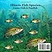 Illinois Game Fish and Panfish Species Kids Book: Great Book About the Different Types of Fish in Illinois