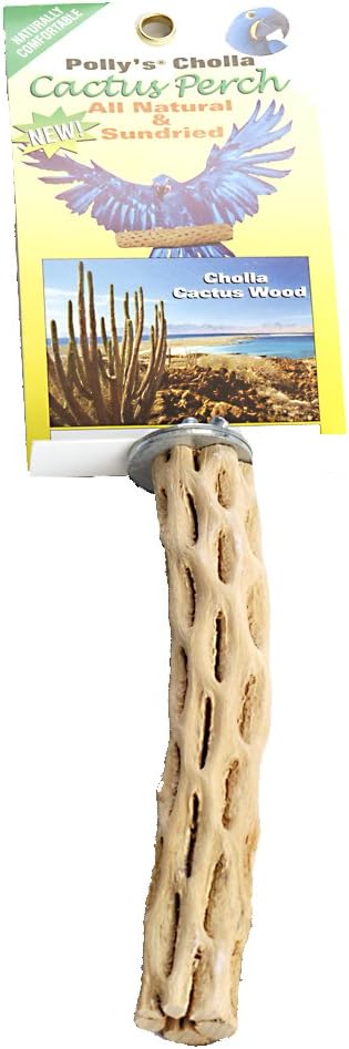 Polly'sCholla Cactus Bird Perch, Small