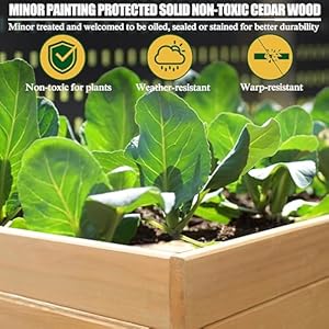 Veikouraisedgardenbed6x3x2ftraisedgardenbedsoutdoorwith6legsdetachablelinergardenbedforbackyardpatiobalcony837lbscapacitynaturalwood Urban Country Home Decor Veikou raised garden bed 6 x 3 x 2ft raised garden beds outdoor with 6 legs detachable liner garden bed for backyard patio balcony 837lbs capacity natural wood urban country home decor