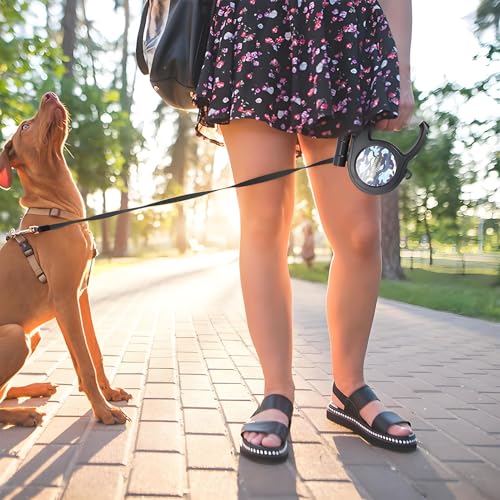 ColdShine 8M Einziehbare Hundeleine Gurt Rollleine für Hunde Einziehbar Gurt Leine Mit Abnehmbarer Taschenlampe rutschfest-Griff für Kleine Große Hunde bis 50kg
