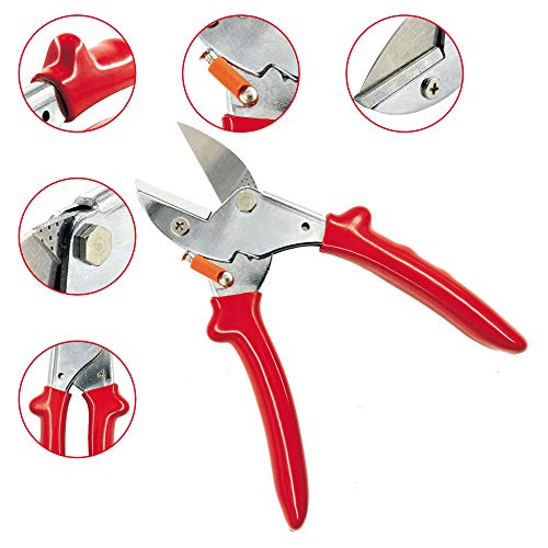 Best Hand Pruners Consumer Trends Report by Homeer