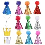 RxaGtn Partyhüte für Kuscheltiere, Mini Partyhüte für Kindergeburtstag, 12pcs Set mit 2 Geburtstagskronen und 10 Pompom-Hüten, Ideal für Geburtstagsfeiern und Foto-Props