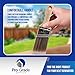 Pro Grade, Paint Brushes, 5-Piece, Paint Brush Set: Flat & Angle Brushes for Latex and Oil Paints, Stains, Interior & Exterior Home Improvement