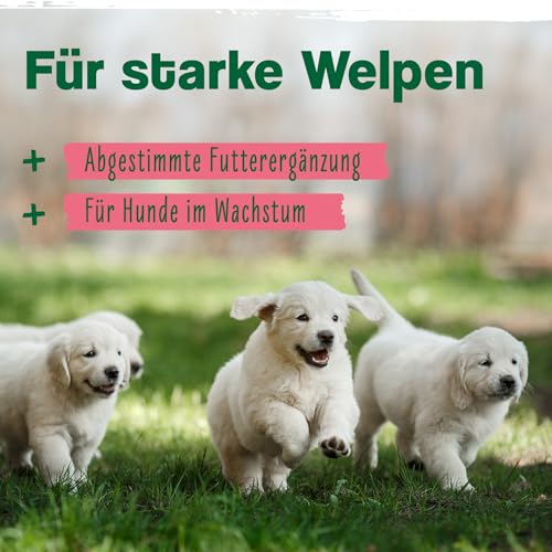 ida+ – Junior Complex 400g – Vitamine & Mineralstoffe für Hundewelpen – Gesundheitsprodukte für Hunde für ideales Wachstum von Welpen - Nahrungsergänzungsmittel Hund - Mineralien für Hunde