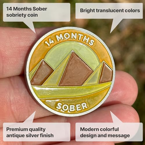 Image of The Achieve Mint 14 Months Sober Token | Fourteen Month Sober Chip | Non-AA Gift, Non-Religious Medallions for Men and Women Celebrating Sobriety
