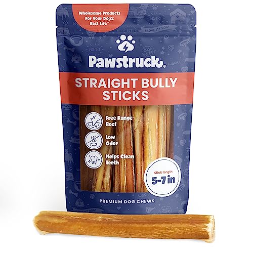 What to do if my Dog or Puppy swallowed a Bully Stick? Mia The Pintzu