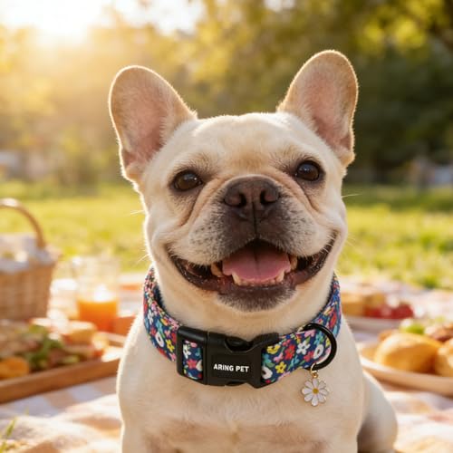 Image of ARING PET Girl Dog Collar, Cute Spring Summer Blue Daisy Floral Pet Collars for Puppy Small Medium Large Female Girly Dogs-XL, for Daily Outdoor Walking Training