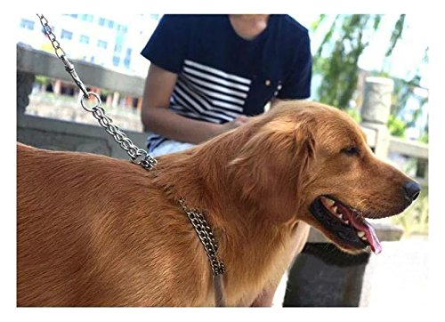 image for Berry Pet Dog Pet Martingale Pinch Metal Stainless Steel Collar for Tr