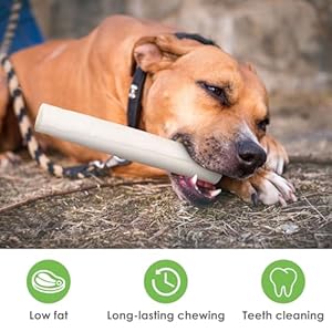 MON2SUN 9 Inch Canine Rawhide Rolls, Tooth Cleansing and Lengthy Lasting Canine Chews for Massive Canine, Single Ingredient and Pure Rawhide Rolls, 26.46oz (6 Depend-Pack of 1)