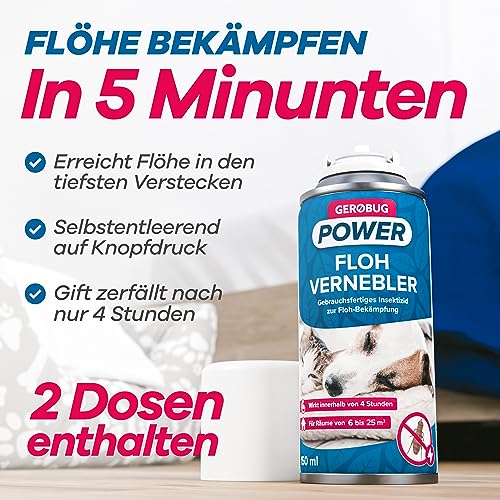 Flöhe im Bett? Wie man sie effektiv beseitigt und in Zukunft fernhält