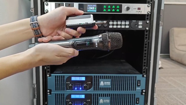 Amazon.com: talomen Wireless Microphone,Professional Handheld