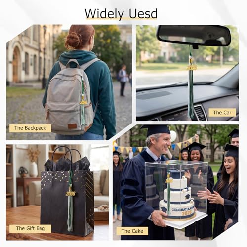 Image of GraduationMall Single&Multiple Color Graduation Tassel with 2026 Year Charm 9 inch