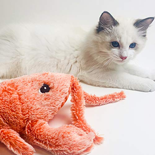 SH-RuiDu Brinquedo elétrico para gatos lagosta para gatos mastigar peixe brinquedo realista de pelúc