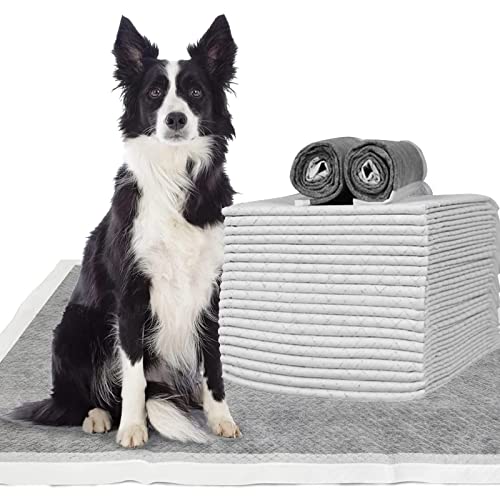 Toallitas De Entrenamiento para Mascotas, Carbón Alfombras para Perros, Súper Absorbente Desechables Almohadilla para Incontinencia De Orina para Perros Y Gatos,60x90cm（20 Count）