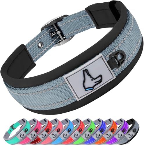 Joytale Halsband Hund, Weich Hundehalsband Gepolstert Neopren Hunde Halsband für Kleine Hunde, Nylon Reflektierend Breit Halsbänder, Grau