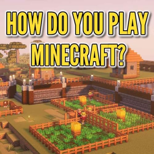 How Do You Play Minecraft? cover art