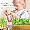 Self-Watering Microgreens Growing Kit – Easiest Way to Grow Fresh Microgreens at Home. Includes Reusable Tray, Organic Seeds, Grow Mats & Stylish Bamboo Frame – No Soil, No Mess (Salad & Broccoli) #4
