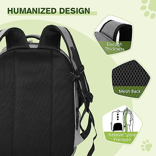 pecute Katzenrucksack 6kg Haustier Rucksack für Kleine Hunde, Tragbare und Faltbare Katzentasche, Atmungsaktive und Leichte, Mit Sicherheitsseil und Reißverschluss mit Schloss für Reisen Bergsteigen