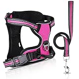 Arnés para Perros con Correa,Transpirable Ajustable de Ajuste Arnés Frontal Reflectante de Alta Resistencia,Ideal para Perros pequeños,medianos,Grandes Entrenamiento al Aire Libre(Pequeña)