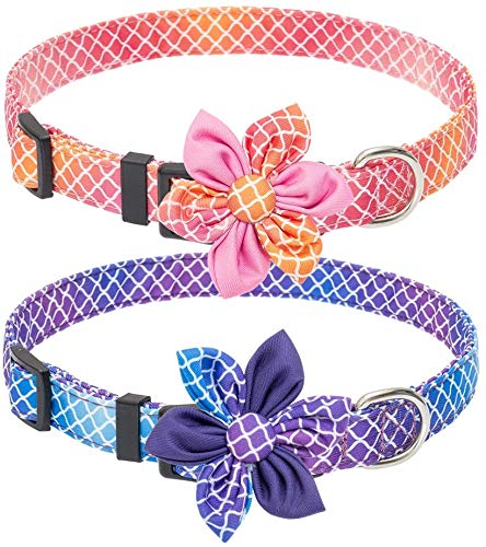 BINGPET Dog Collar for Medium and Large Dogs - 2 Pack Adjustable Pet Doggy Collars with Detachable Cute Flower Decorations Unique Gradient Pattern, Adjustable 12.9