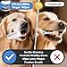 PHASORRA Dog Dental Care Wipes - 60Ct Tooth Brushing kit, Heavy Duty Teeth Cleaning for Dogs & Cats, Remove Tartar & Plaque, Dog Breath Freshener, Dog Toothbrush & Toothpaste Alternatives (Coconut)
