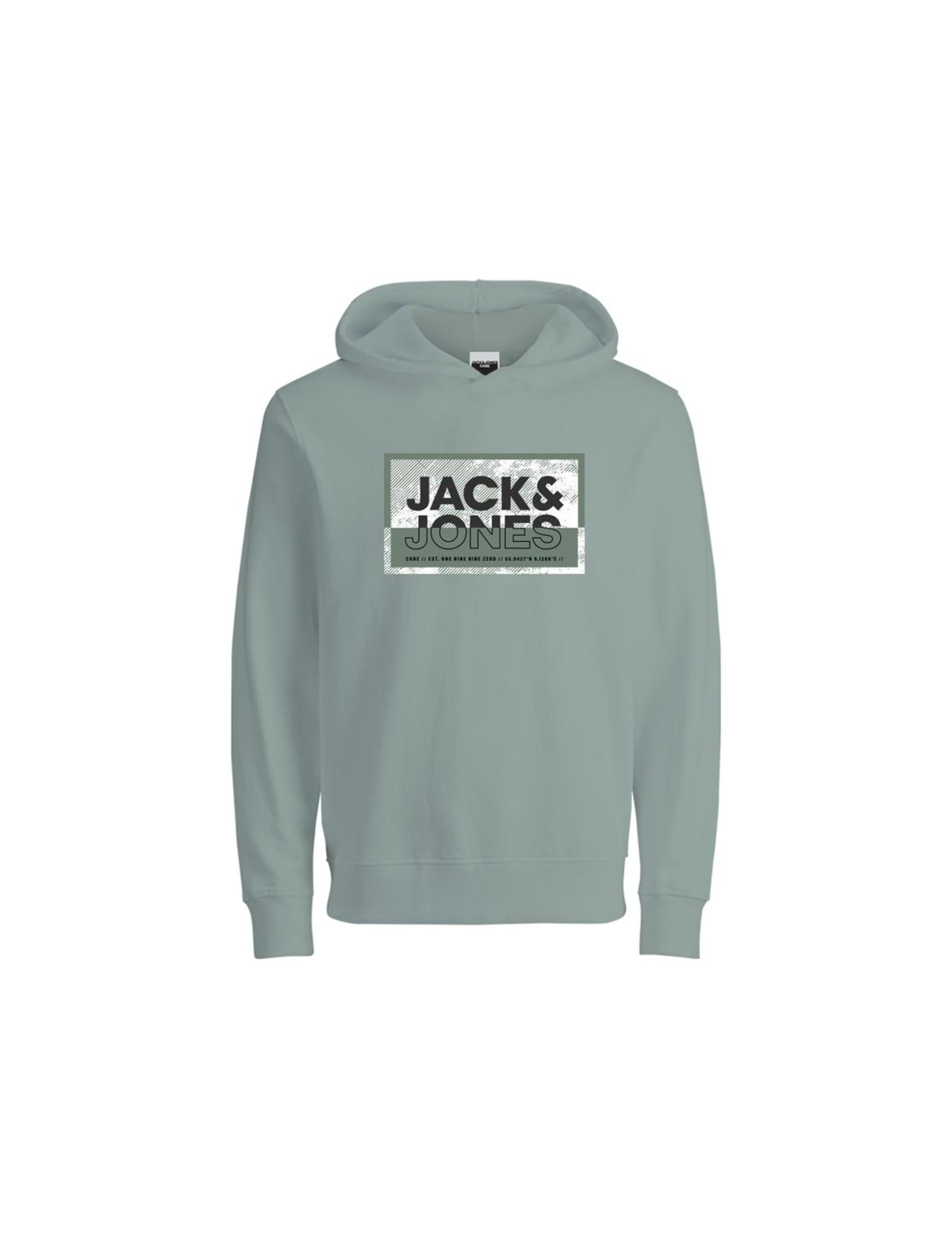Jack & Jones Jcologan Print Sweat Hood Sn Mni