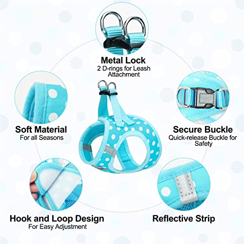 BEAUTYZOO Step in Dog Harness and Leash Set, Polka Dot Pattern Reflective Dog Harness No Pull No Choke Puppy Harness for XXS XS S Dogs Cats, Soft Padded Mesh Vest Harnesses for Girl and Boy Pets - Thumbnail 3