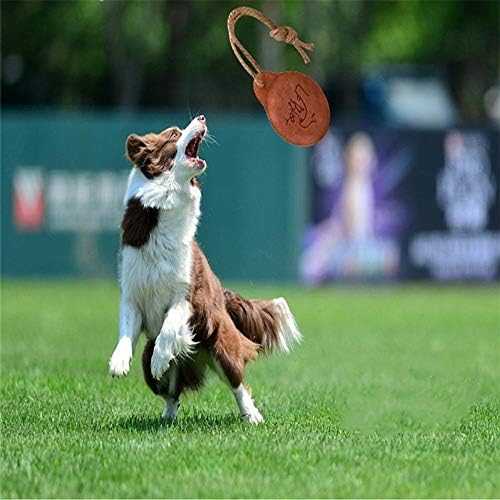 squeaky frisbee dog toy