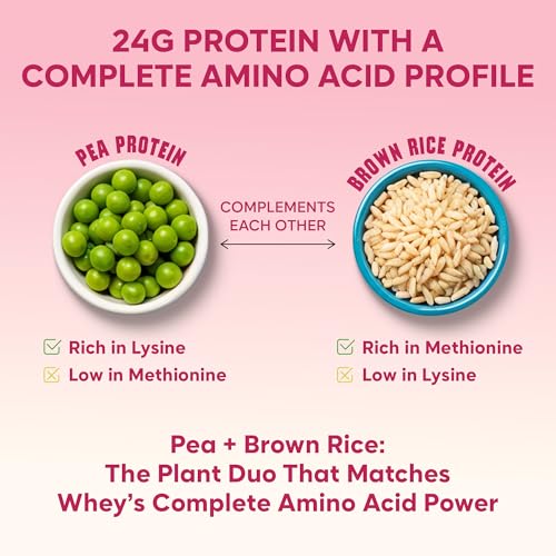 Image of Foodstrong Gut Friendly Plant Protein - Coffee | 24g Complete Plant Protein with Probiotics, Digestive Enzymes, Prebiotics & Indian Herbs | Vegan | No Sugar | 500g