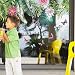 Adhesivos de pared Planta Tropicales Hojas Verde Removable Tropical Tree Leaves Plants...