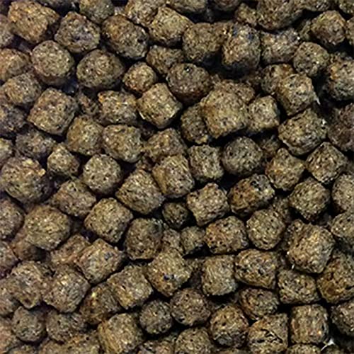 The Pond Guy Staple Fish Food - 5 Pound Bucket #TOP1