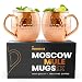 Moscow Mule Copper Mugs GiftBox - 100% Pure Copper Hand Crafted Hand Hammered Copper Mugs Cups for Moscow Mule Cocktail Drink - Set of 2 Copper Mugs with SHOT GLASS