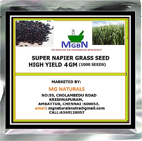 SUPER NAPIER GRASS SEED HIGH YIELD -4GM (1000 SEEDS) (B085S3RYG1) Amazon Price History, Amazon Price Tracker