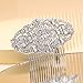 EVER FAITH 1920s Wedding Hair Accessories Austrian Crystal Bridal Art Deco Vintage Headpiece Side Comb for Women Bride Clear Silver-Tone