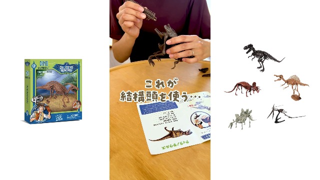 Amazon | GEOWORLD 恐竜発掘キット ティラノサウルス 日本語パッケージ