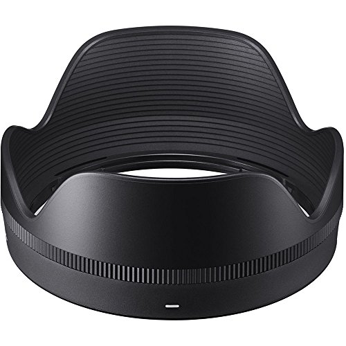 Sigma 24-70mm f/2.8 lens