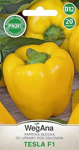WegAna Peperone Tesla 20 semi Semi di ortaggi robusti Semi di ortaggi Semi di coltivazione per serra Semi di peperone dolce