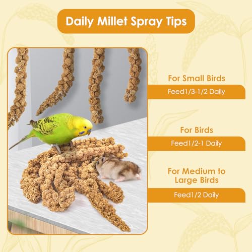 Katumo PA00374 Spray Millet Treats, 7Oz / 200G Natural Sun-Dried Bird Treats Parakeet Treats thumb #4