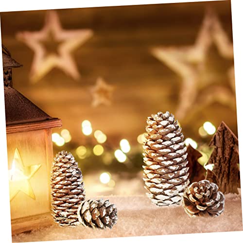 Set 5 conos de pino secos para decoración y manualidades miniatura 3