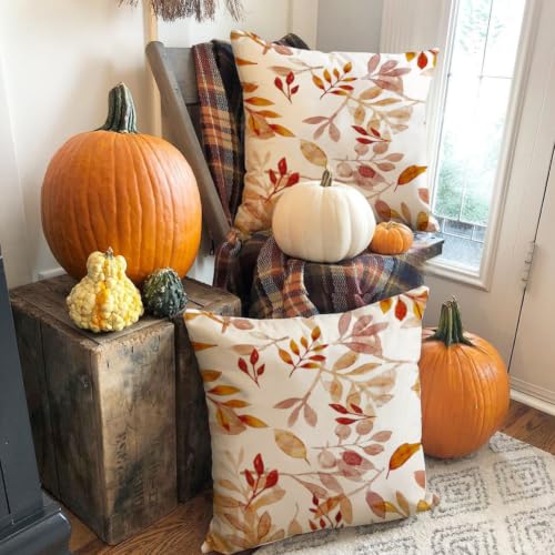 Image of Fall Pillow Covers 20x20 inch Orange White Fallen Leaves Decorative Outdoor Throw Pillow Covers Autumn Thanksgiving Farmhouse Decoration for Home Couch