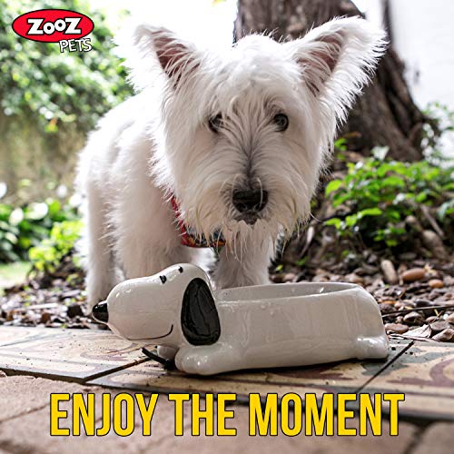 Compare Prices For Zooz Pets Across All Amazon European Stores