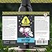 DEET 50% Mückenspray & Zeckenspray - Mückenschutz für Tropen und Outdoor - Insektenschutz gegen Mücken, Moskitos & Zecken - 100ml