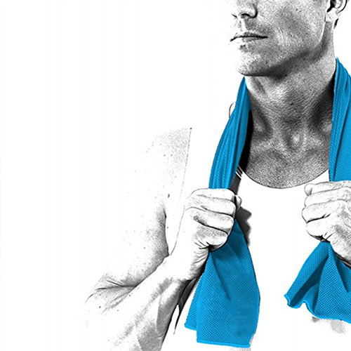 IKuaFly Frozen Toalla Microfibra Suave Rápido Refresco Seco Libre de Químicos Profesional Gimnasio Deporte Fitness Towel - Colgando Gancho Paquete de Botella (azul 90*30cm)