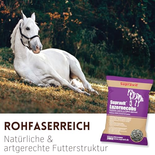 Supravit Luzernecobs 20kg - energiereiches Pferdefutter I Luzernepellets mit hohem Anteil an Carotin I liefert wichtige Mineralien für alle Pferde