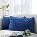 Homaxy Zestaw 2 poszewek na poduszkę z aksamitu, 30 x 50 cm, dekoracyjne poduszki na sofę, miękkie poszewki na poduszki, na zimę, puszyste, do salonu, sypialni, niebieskie